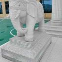牡丹江 白麻花岗岩动物异形石雕-大象